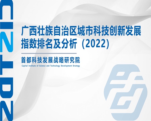 非洲大鸡巴日逼【成果发布】广西壮族自治区城市科技创新发展指数排名及分析（2022）